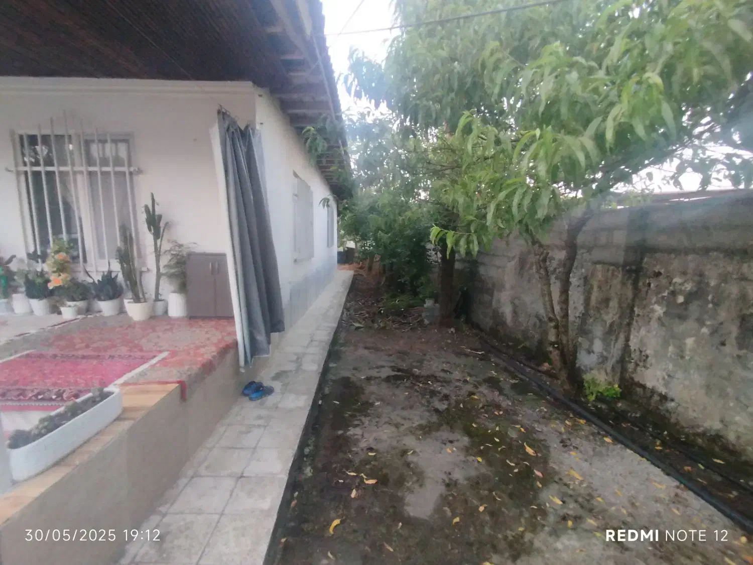 فروش زمین تجاری مسکونی در گیسوم|فروش زمین و ملک کلنگی|اسالم, |دیوار