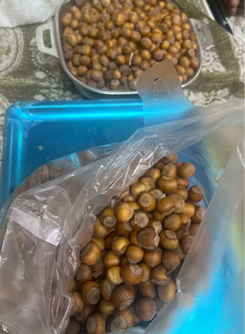 فندوق تازه شمال درجه‌یک|خوردنی و آشامیدنی|قم, شهرک امام حسن|دیوار