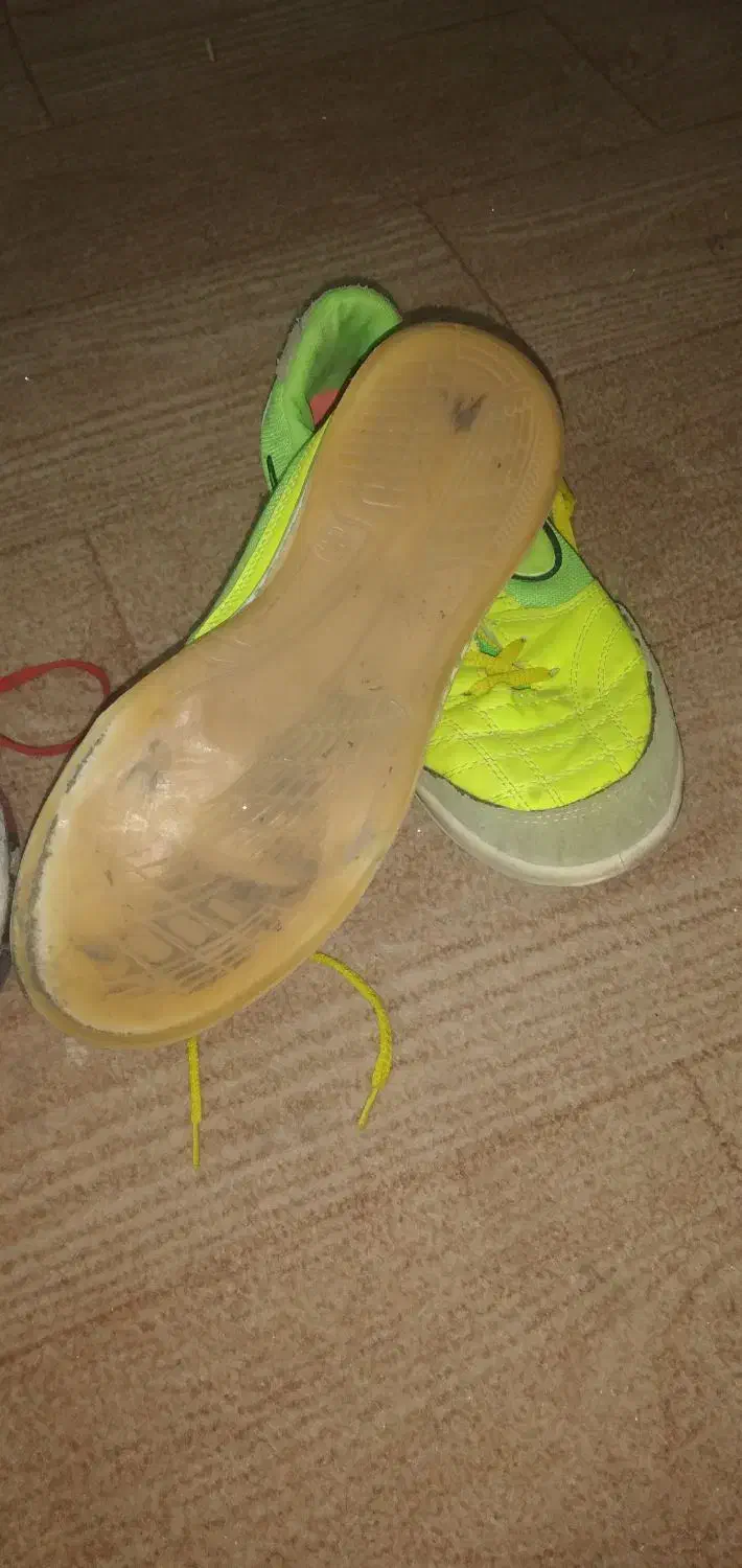 کفش فوتسال|کیف، کفش، کمربند|گرگان, |دیوار