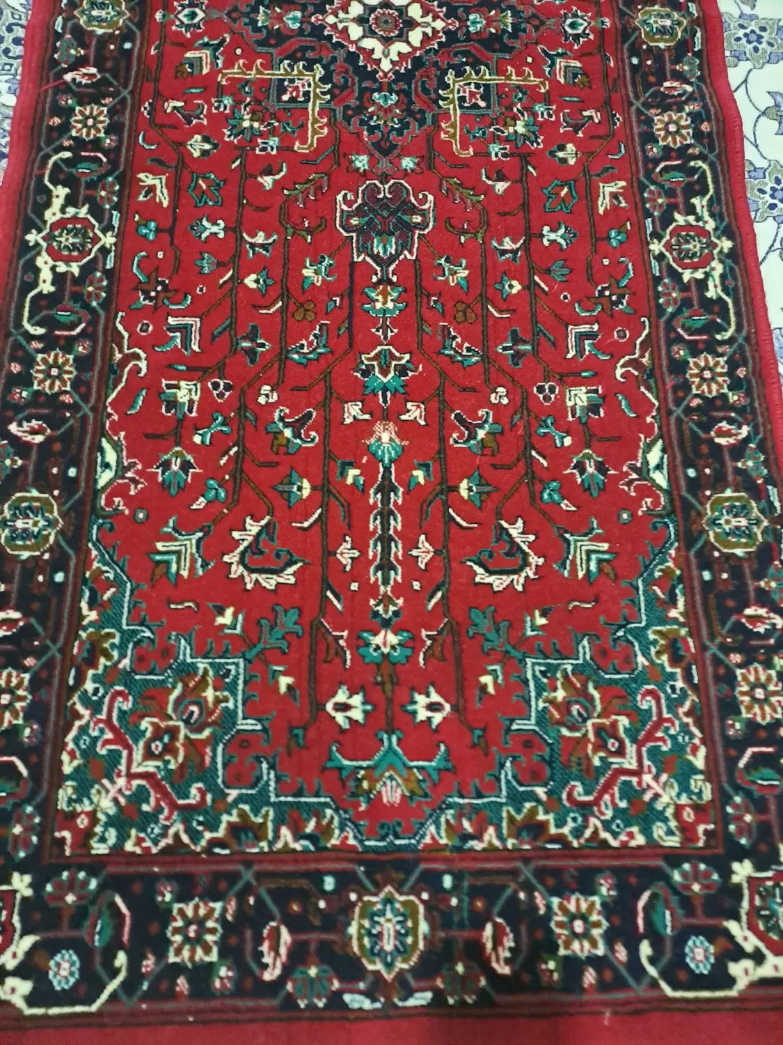 کناره|فرش|خوی, |دیوار
