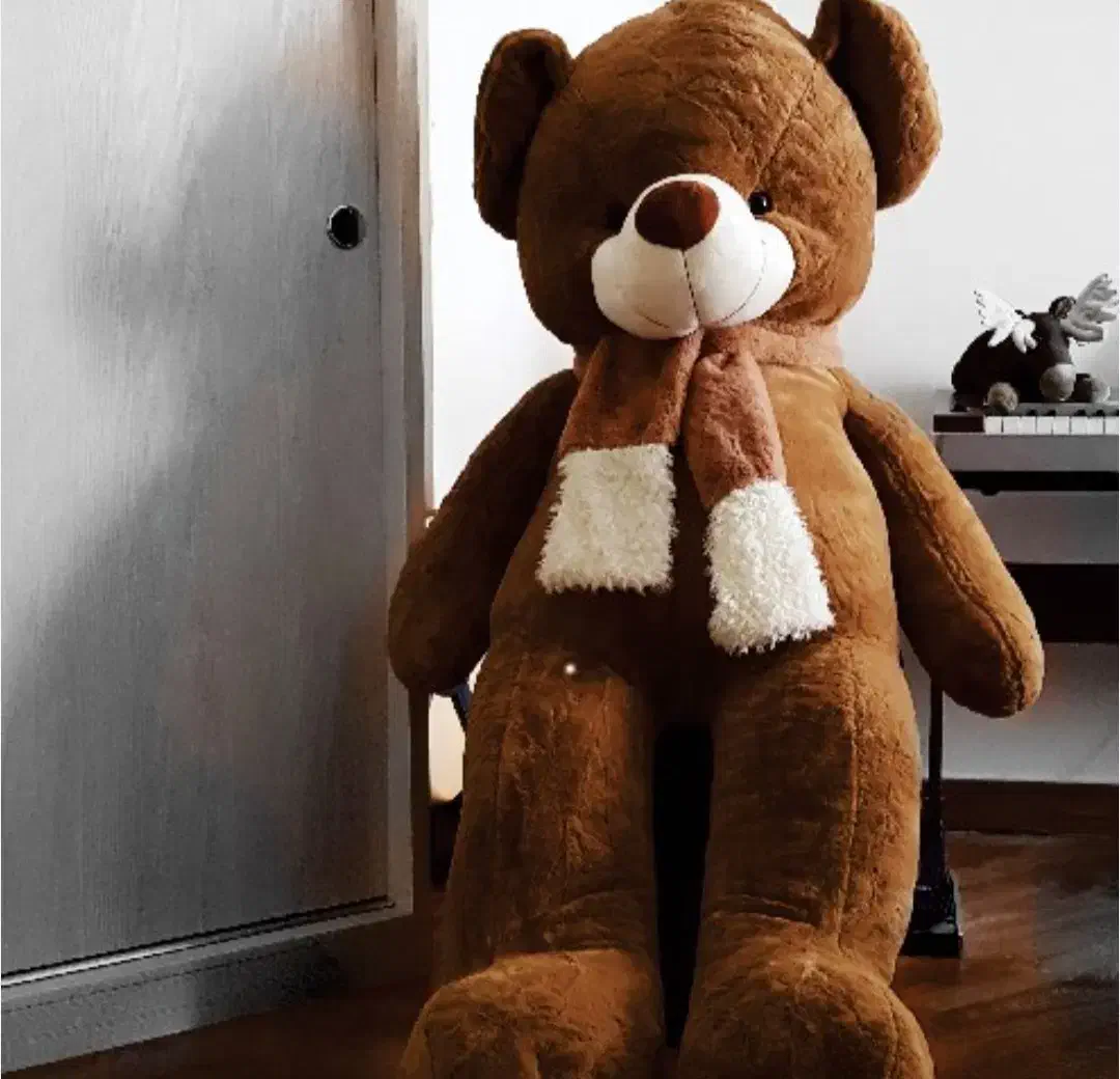 خرس بزرگ قهوه ای|اسباببازی بچه|مشهد, دانشجو|دیوار