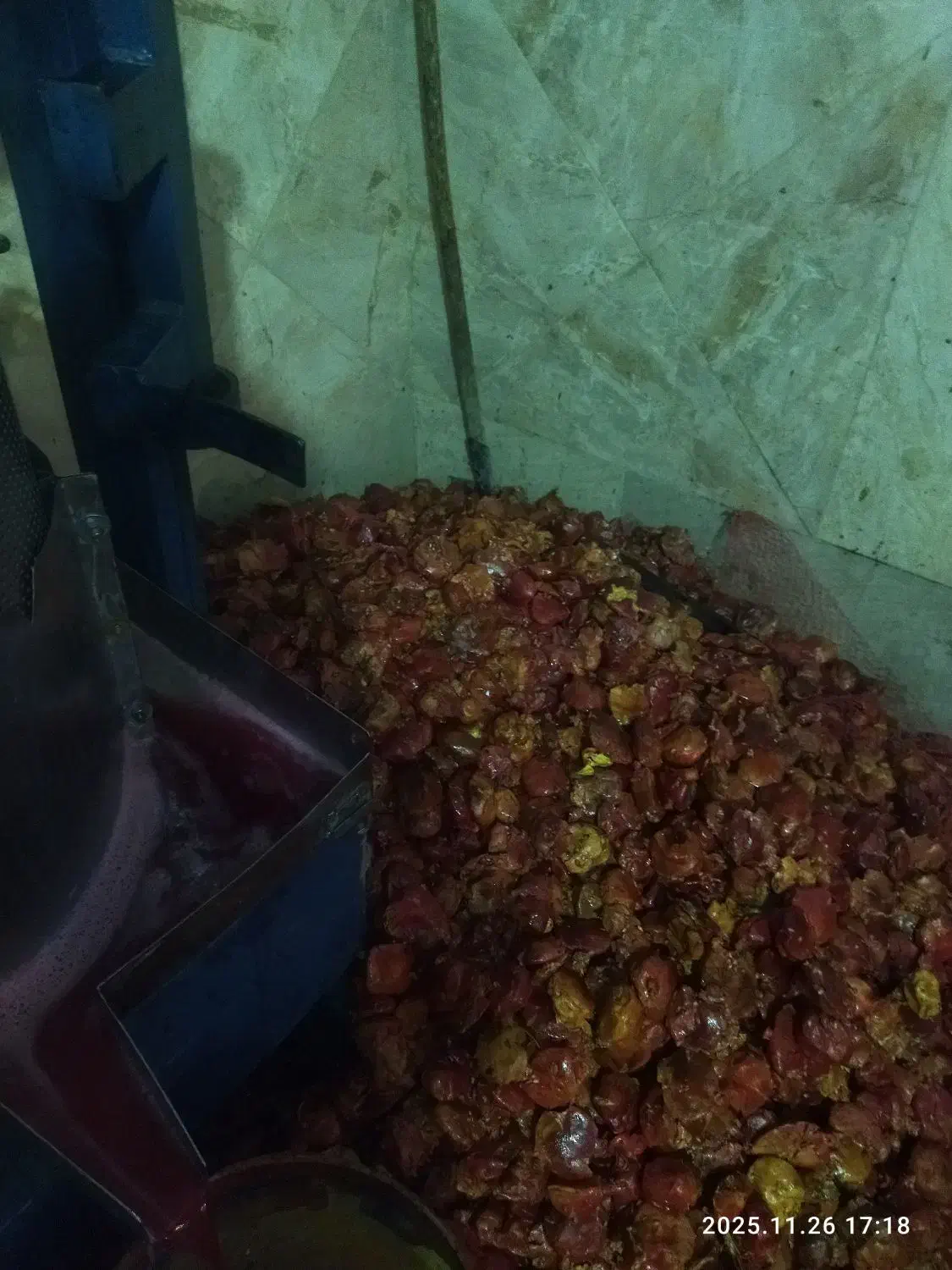 پوست انار با هسته خوراک دام|حیوانات مزرعه|سلفچگان, |دیوار