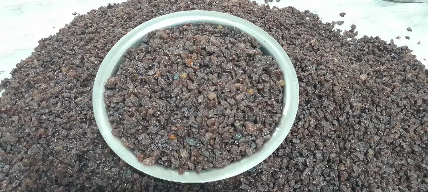 کشمش آفتابی سالم گوشتی|خوردنی و آشامیدنی|شهرکرد, |دیوار