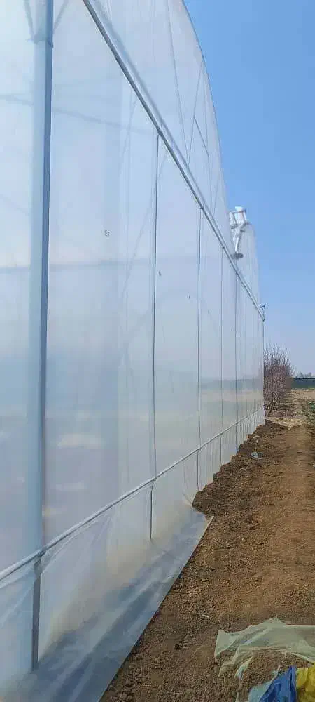 نصب انواع گلخانه صنعتی|خدمات پیشه و مهارت|شیراز, حومه شیراز|دیوار