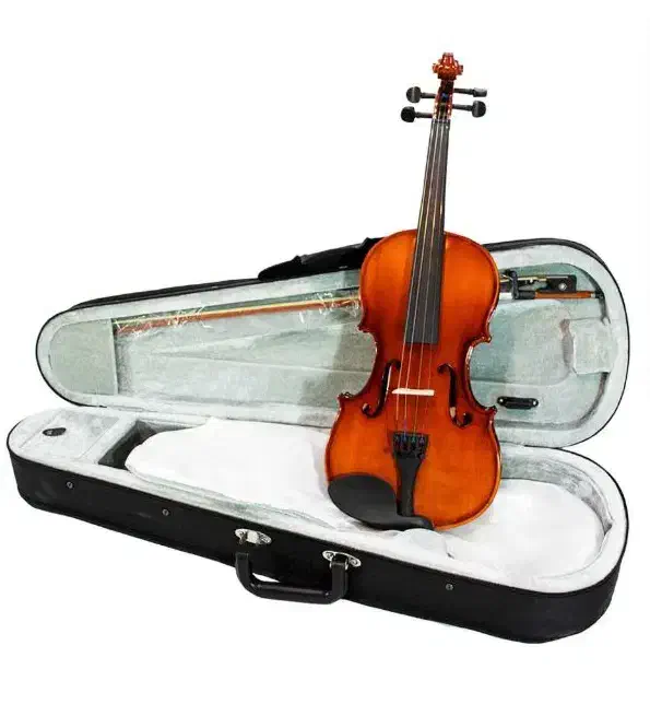 ویولن Tf|ویولن|تویسرکان, |دیوار