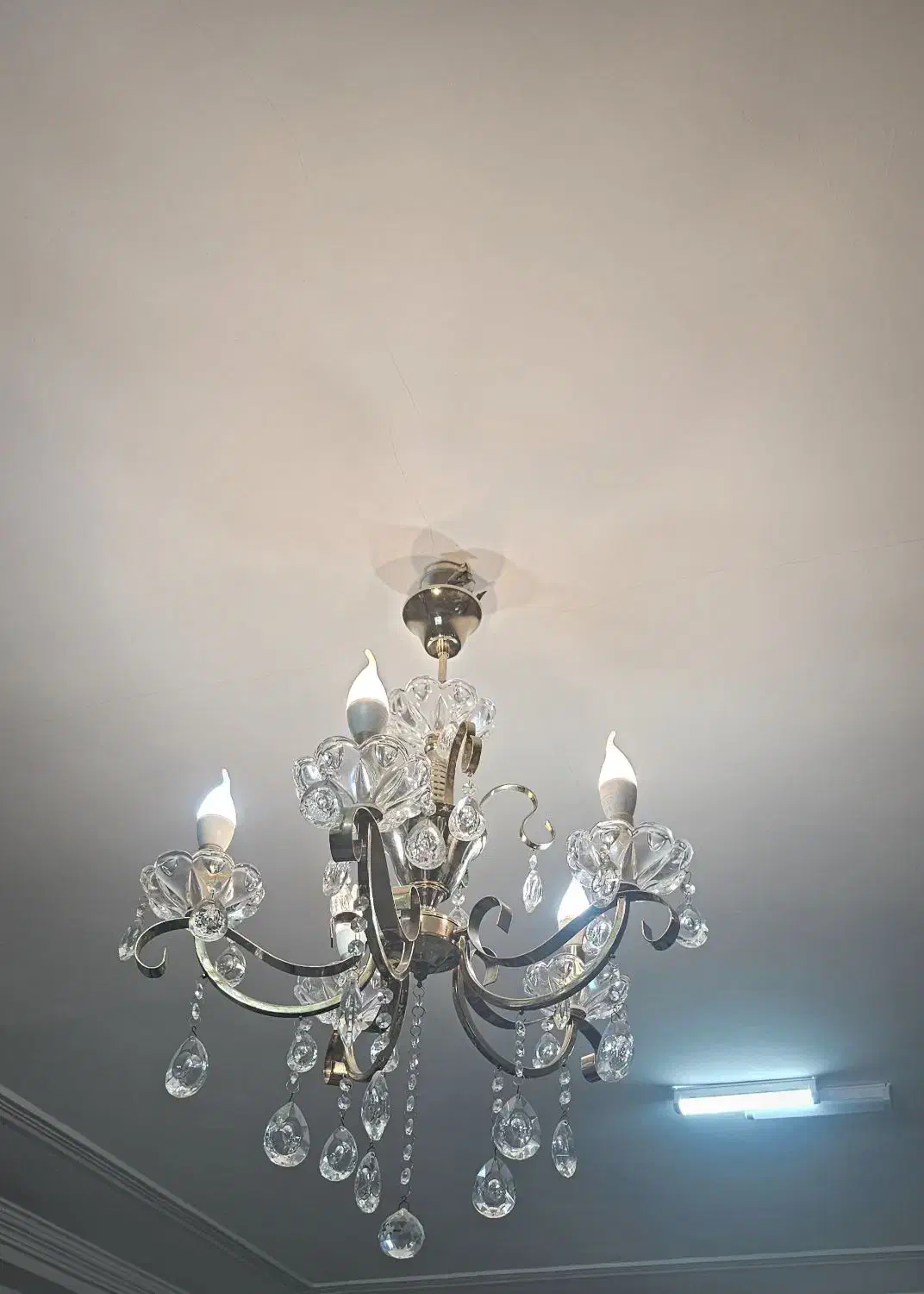 لوستر ۵ شاخه|لوستر و چراغ آویز|بندرعباس, |دیوار