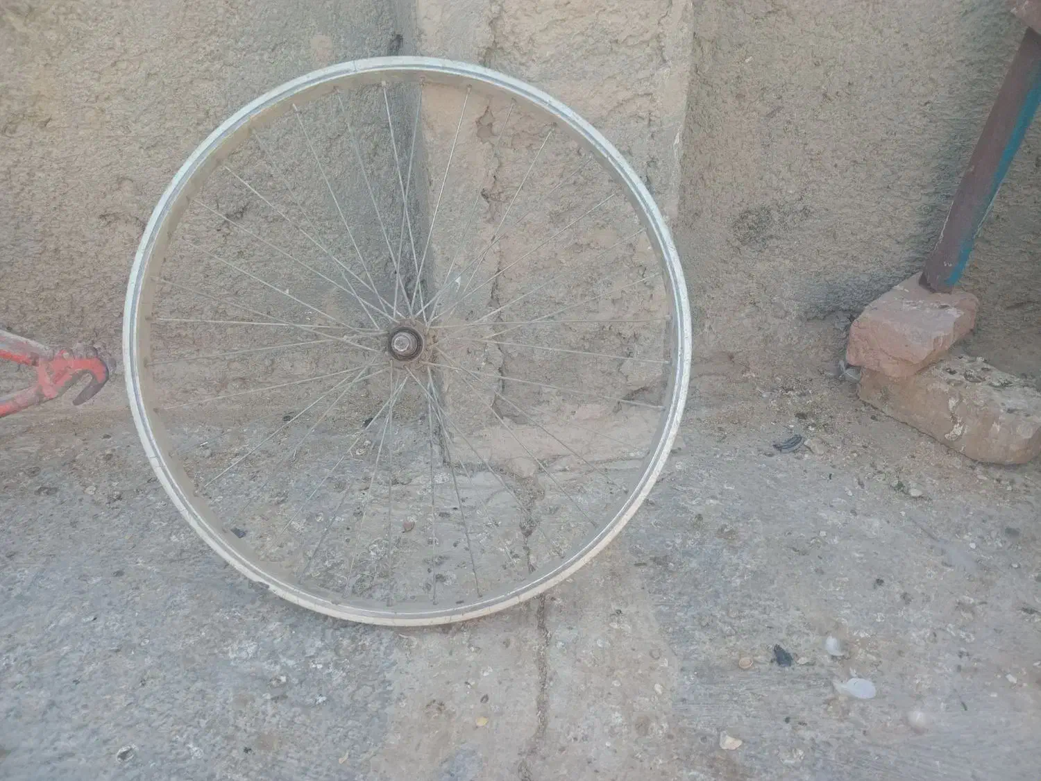 تنه و رینگ دوچرخه ۲۴|دوچرخه، اسکیت، اسکوتر|زهک, |دیوار