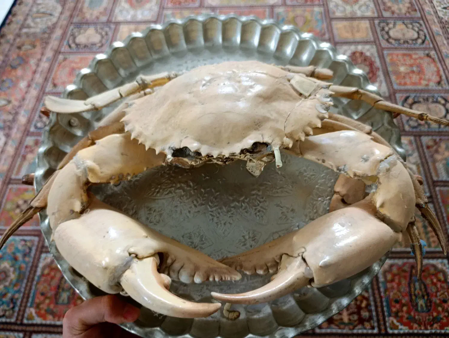 بادکنکی|کلکسیون اشیاء عتیقه|اصفهان, سرچشمه|دیوار