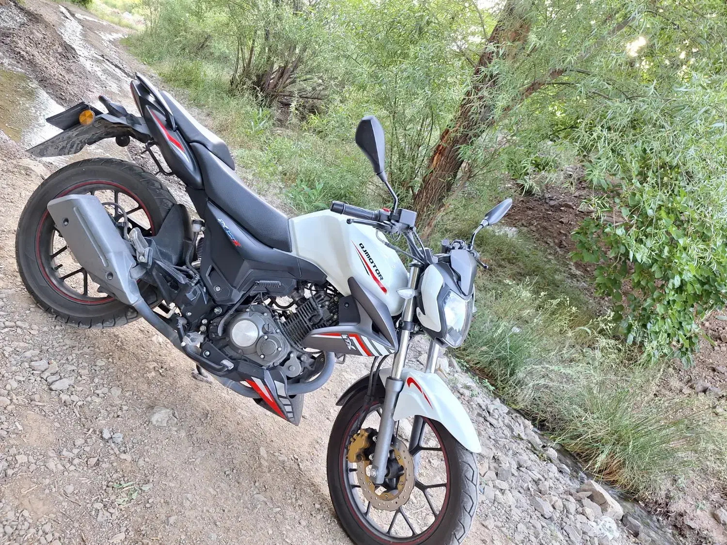 موتورسیکلت|موتورسیکلت|کرج, حیدرآباد|دیوار