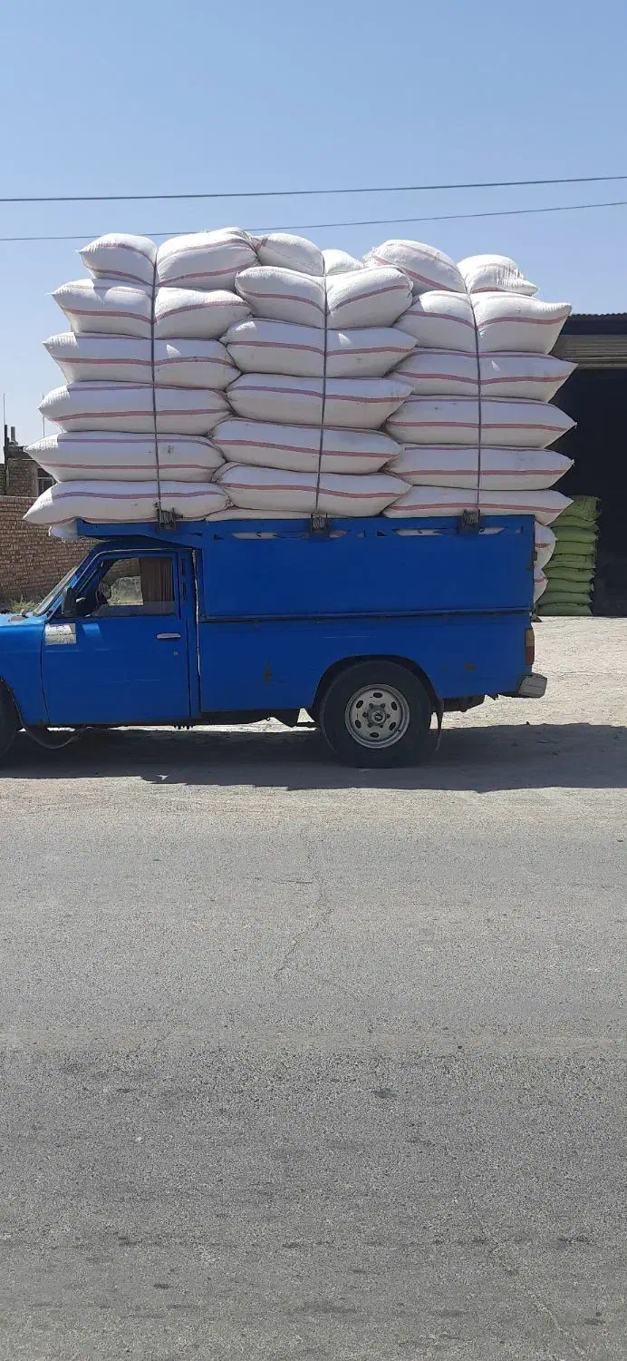 یونجه کوبیده،کاه گندم|لوازم جانبی حیوانات|نیشابور, فردوسی جنوبی|دیوار