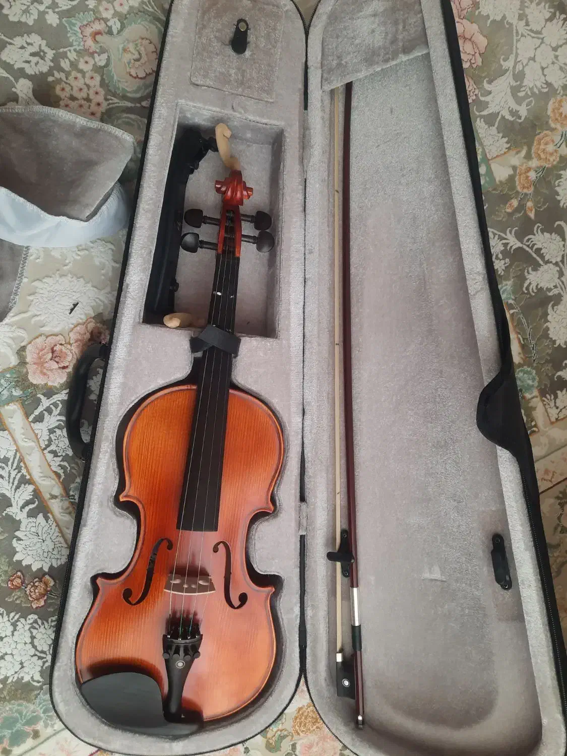 ویولن tf student|ویولن|شیراز, حومه شیراز|دیوار