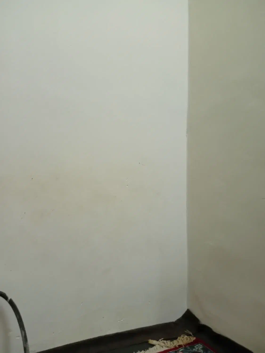 اجاره یک خونه جهل متری در محدوده باغ دبیر|اجارهٔ خانه و ویلا|جلگه ماژان, |دیوار