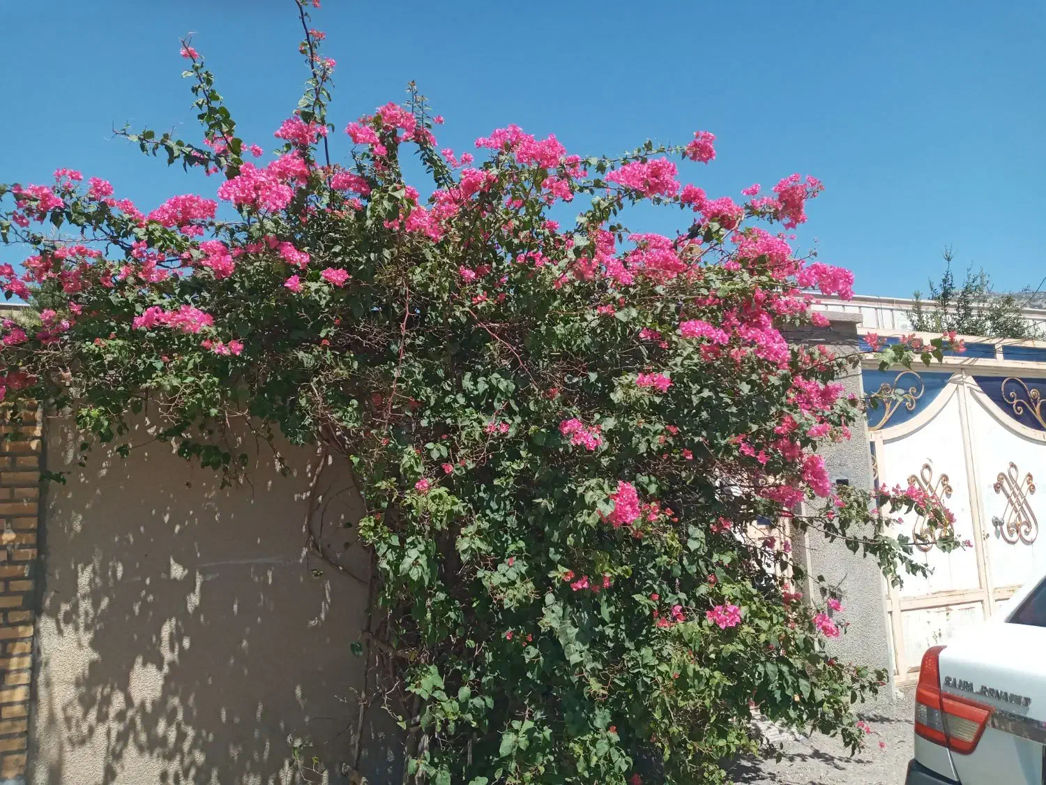 اجاره ویلایی پشت قلعه|اجارهٔ خانه و ویلا|آبدانان, |دیوار