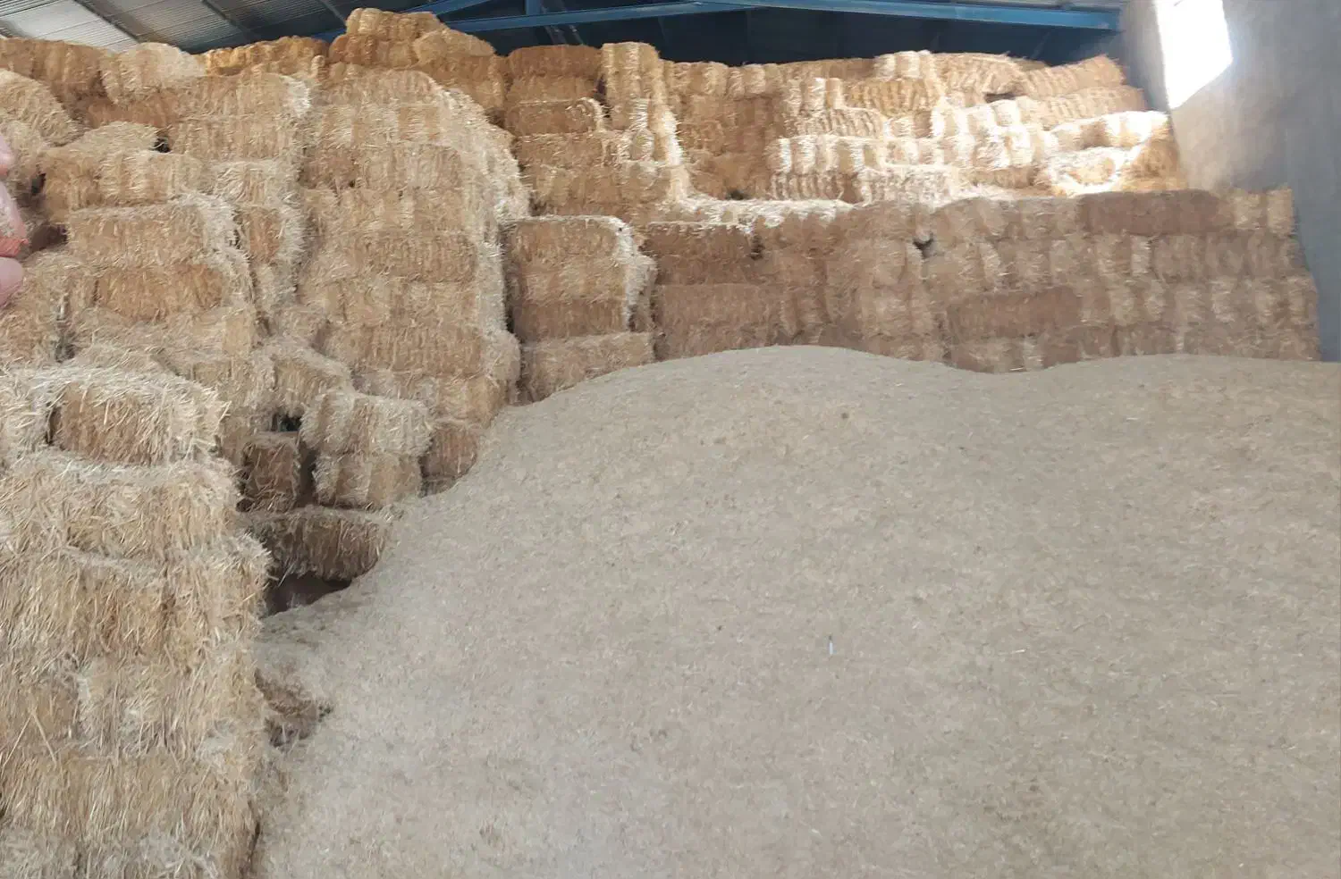 کاه رو گندم|عمدهفروشی|مرودشت, تخت جمشید|دیوار