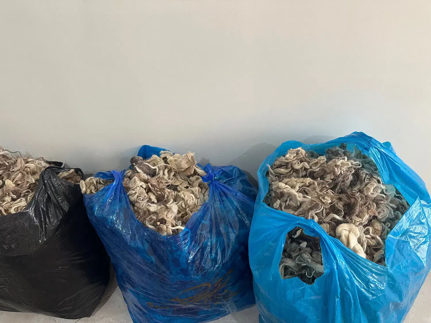 پشم گوسفند|رختخواب، بالش، پتو|تهران, منیریه|دیوار