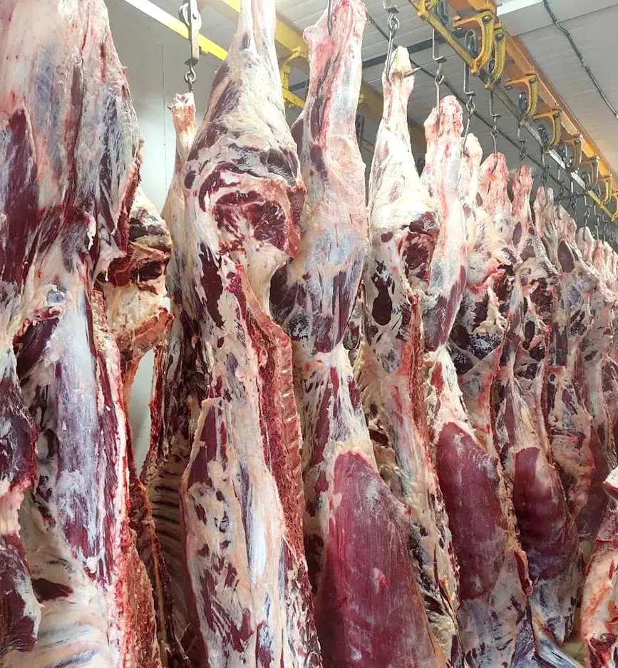 استخدام نیرو سلاخ|استخدام صنعتی، فنی، مهندسی|خرم‌آباد, |دیوار