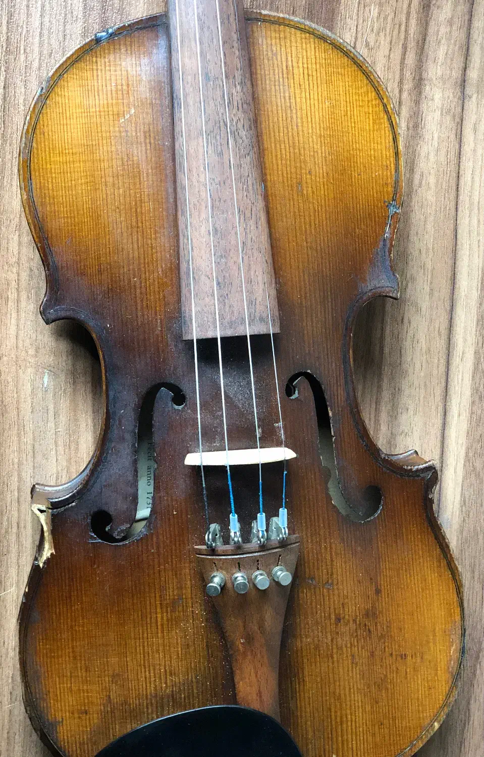 ویولن طرح استرادیواری|ویولن|تهران, فلسطین (میدان انقلاب)|دیوار