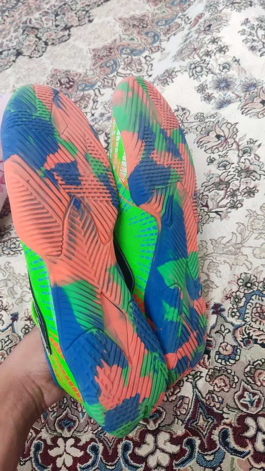 جوما|کیف، کفش، کمربند|بیرجند, |دیوار