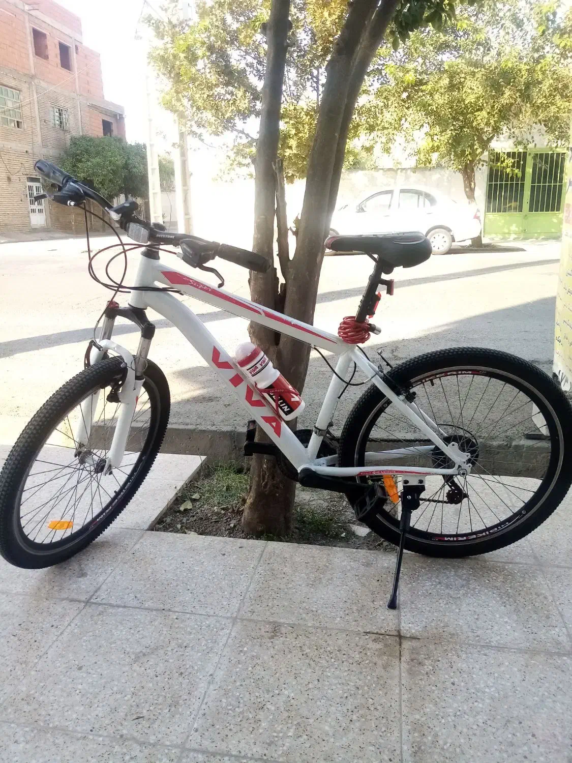 دوچرخه ویوا سایز 26|دوچرخه، اسکیت، اسکوتر|گنبد کاووس, |دیوار