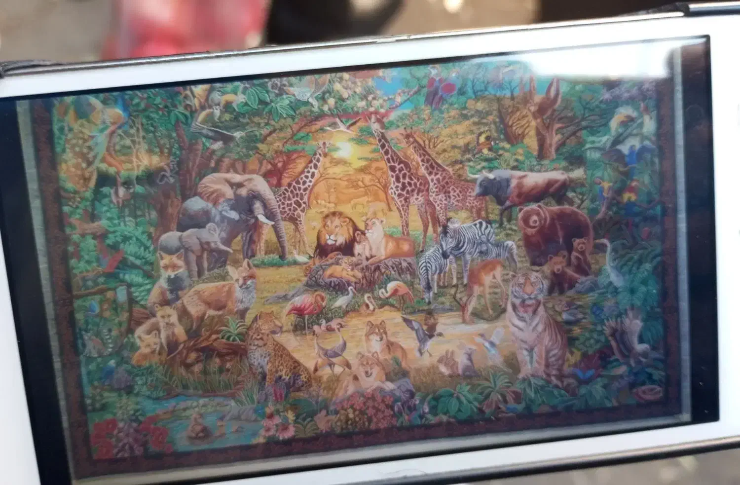 فروش فرش دستباف نفیس|فرش|مراغه, |دیوار