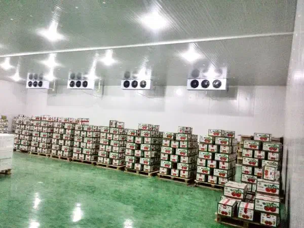 5657 مونتاژ و فروش انواع 5657 سردخانه 5657|ماشینآلات صنعتی|کرمان, |دیوار