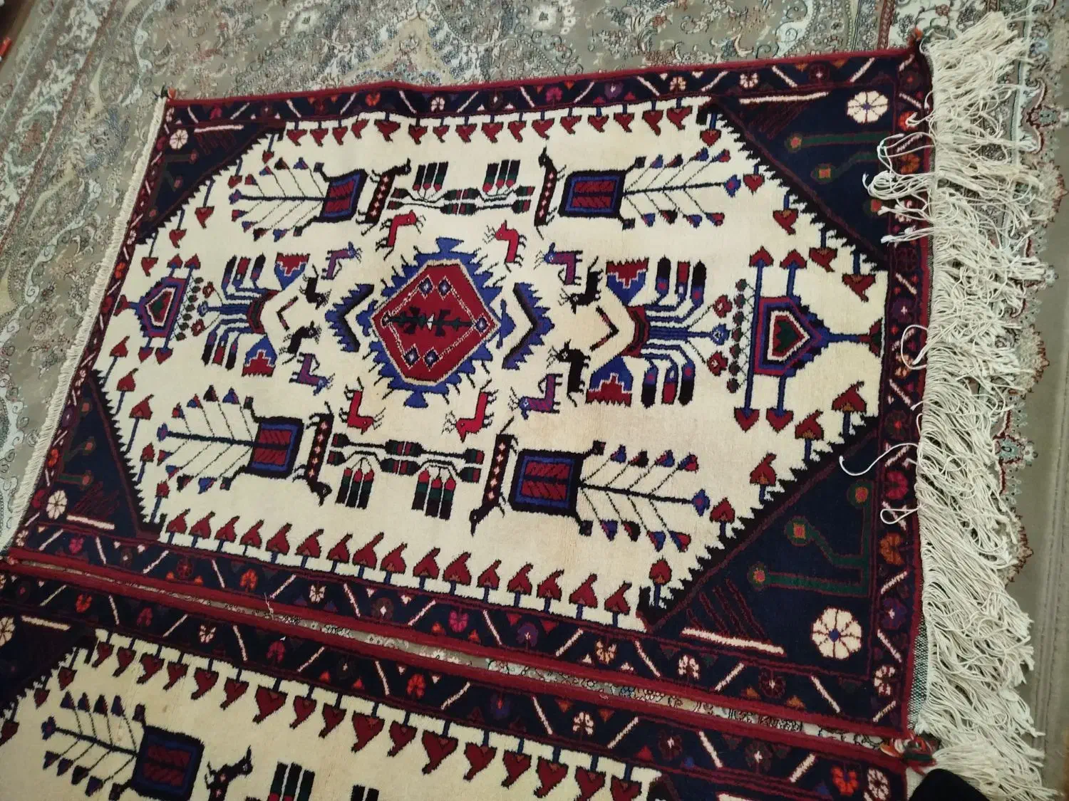 فرش دستبافت|فرش|بوئین زهرا, |دیوار