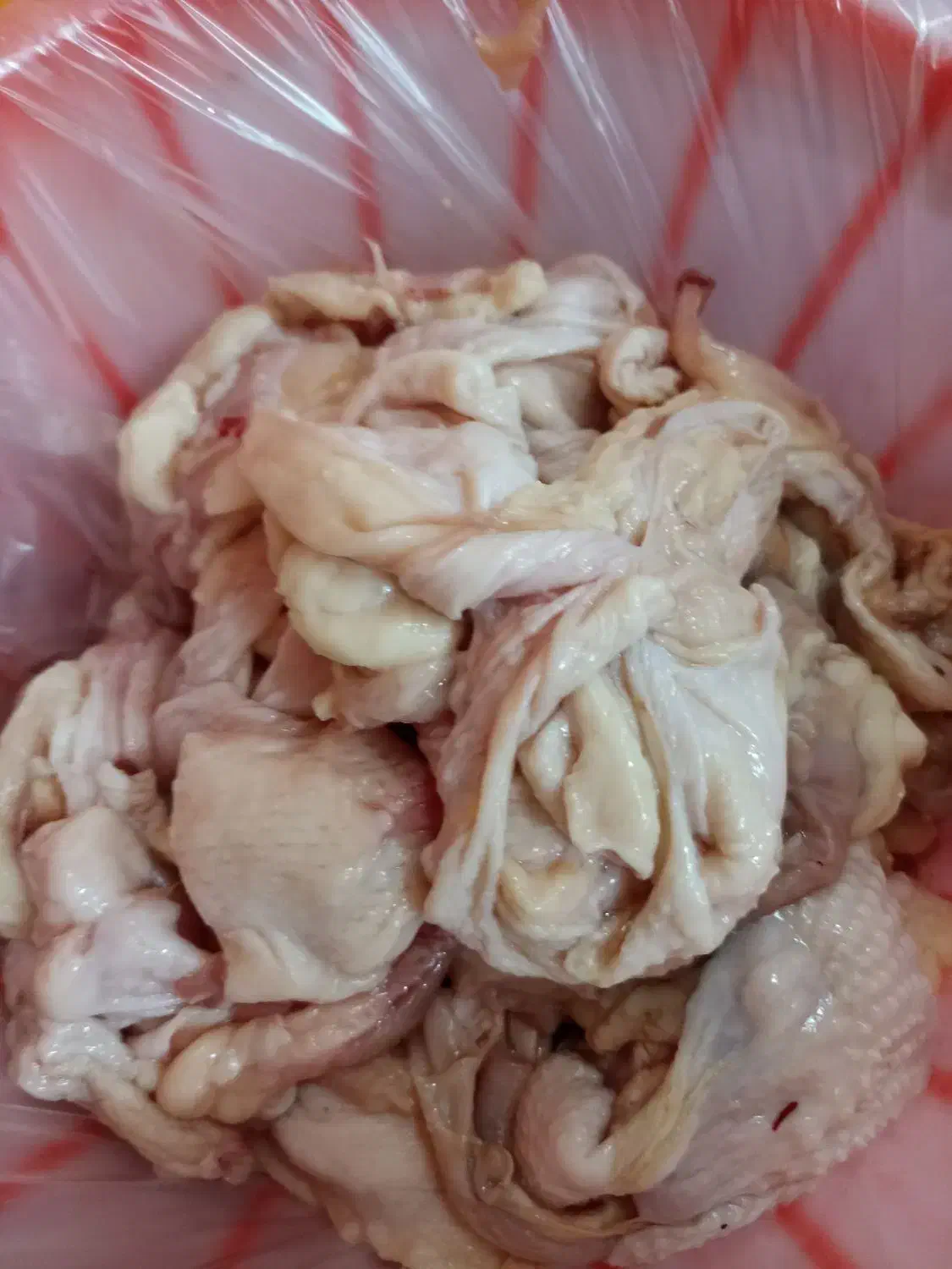 مرغ و پروتئین و ارگانیک سراجوجه طلایی|حراج|برازجان, |دیوار