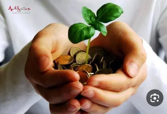 وام فوری بدون ضامن قانونی حضوری|خدمات مالی، حسابداری، بیمه|فیروزآباد (فارس), |دیوار