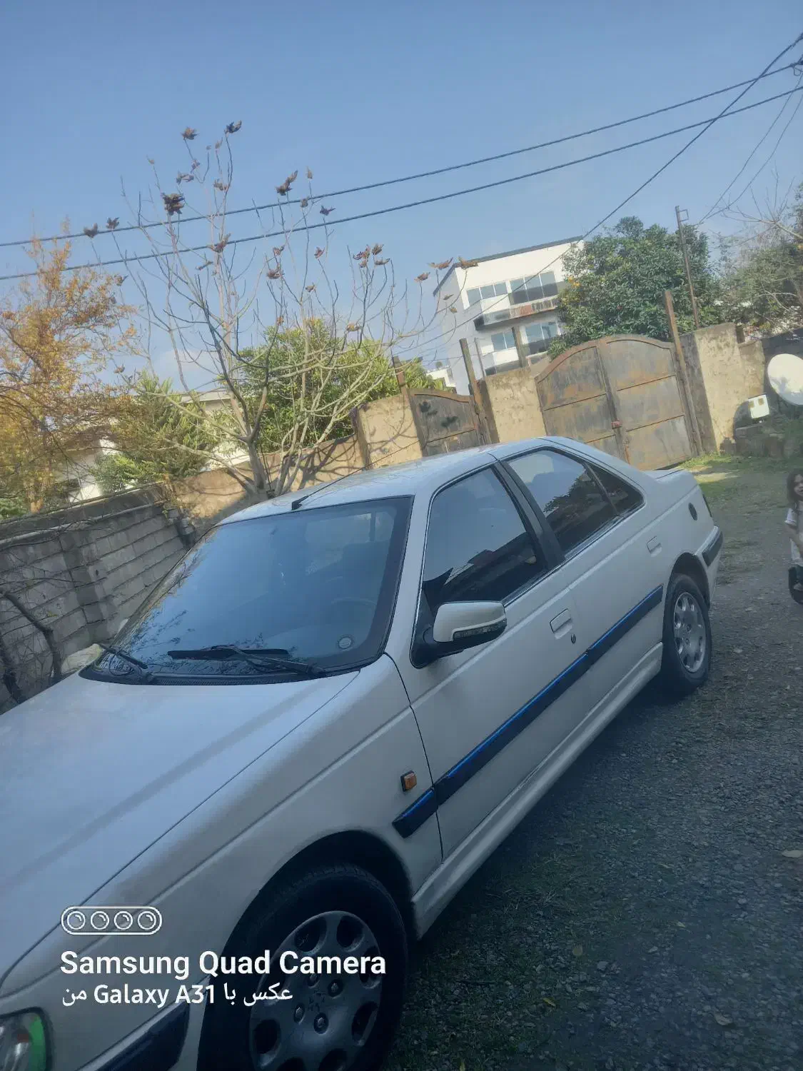 فروش پژو پارس مدل ۹۱ دوگانه فابریک|خودرو سواری و وانت|آمل, |دیوار