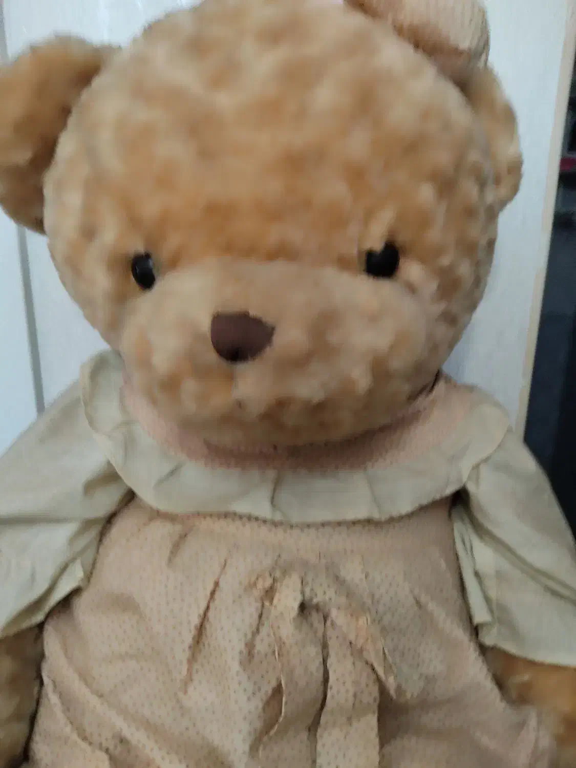 عروسک شاسخین خرسی با پولیش خارجی شیک و زیبا|اسباببازی بچه|قرچک, مهدیه|دیوار