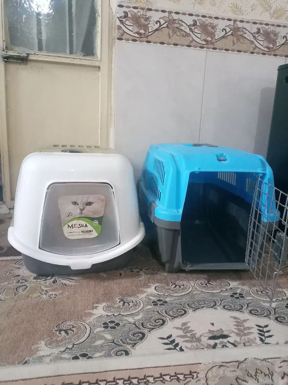 گربه پرشین|گربه|مشهد, بهمن|دیوار