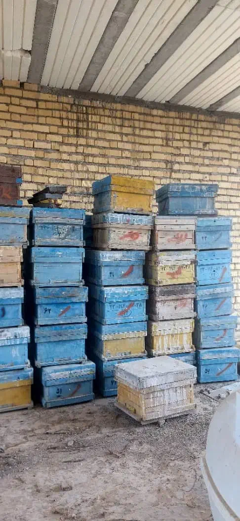 کندو زنبور|حیوانات مزرعه|مرودشت, فاز اول شهرک فرهنگیان|دیوار