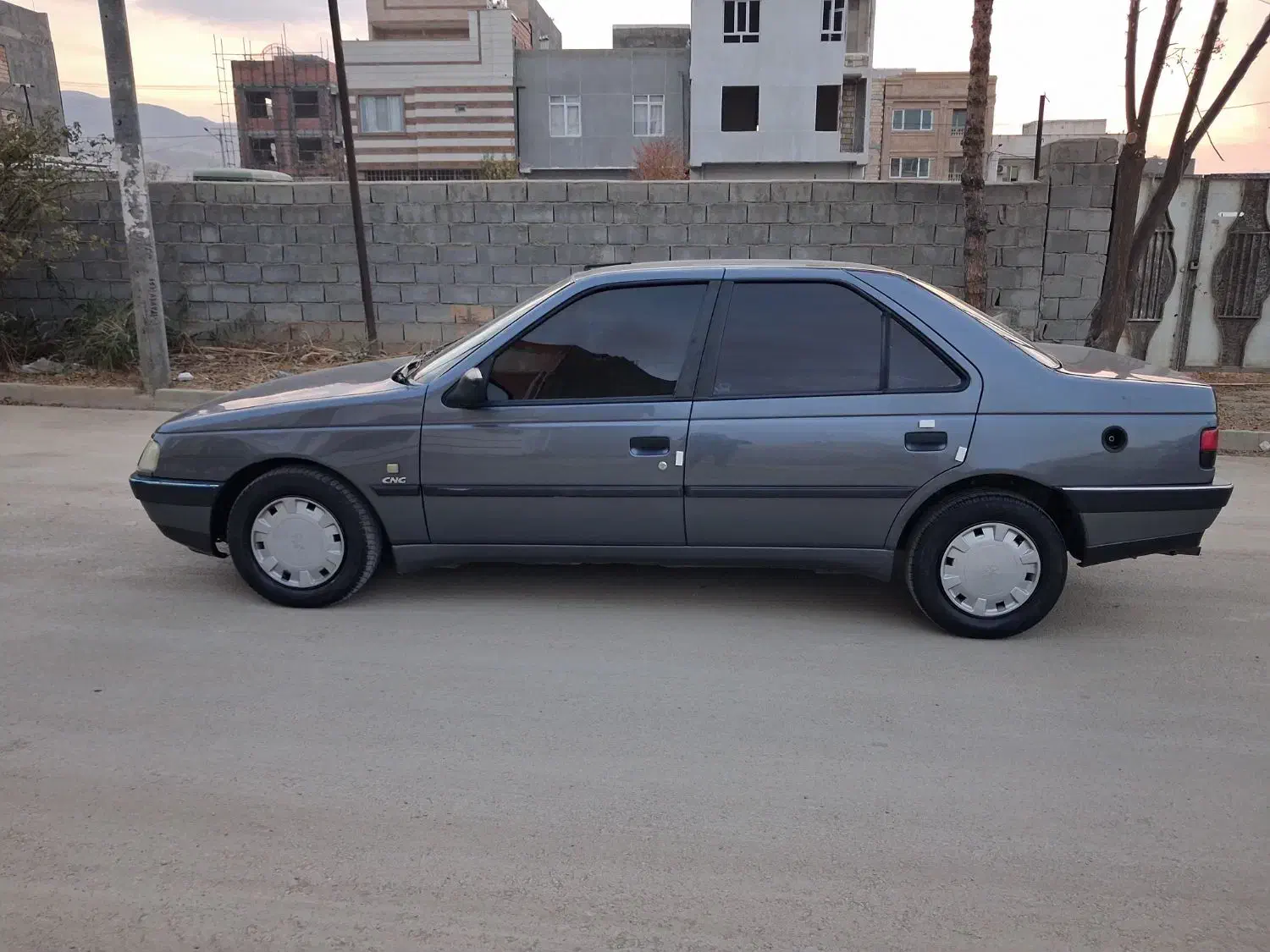 پژو ۴۰۵دوگانه فابریک مدل ۹۶|خودرو سواری و وانت|بجنورد, |دیوار