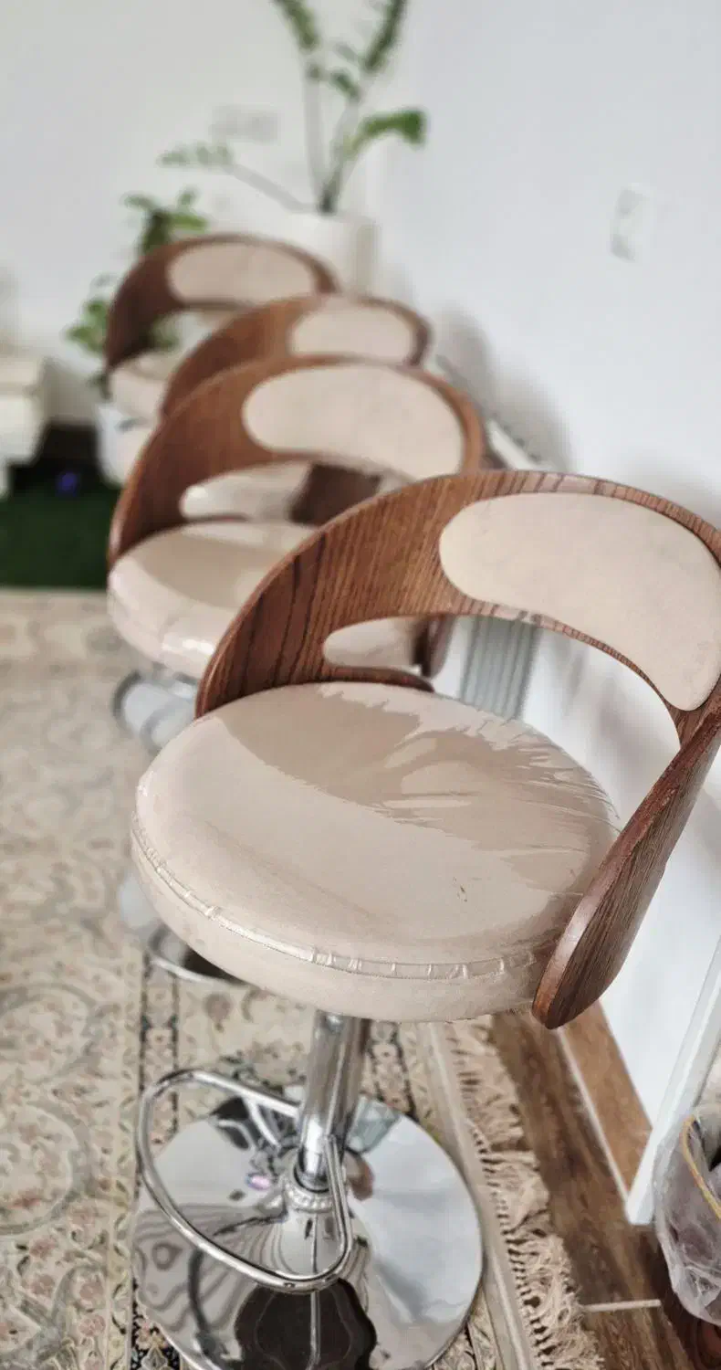 صندلی جلو اوپنی ۴ عدد|میز و صندلی غذاخوری|بم, |دیوار