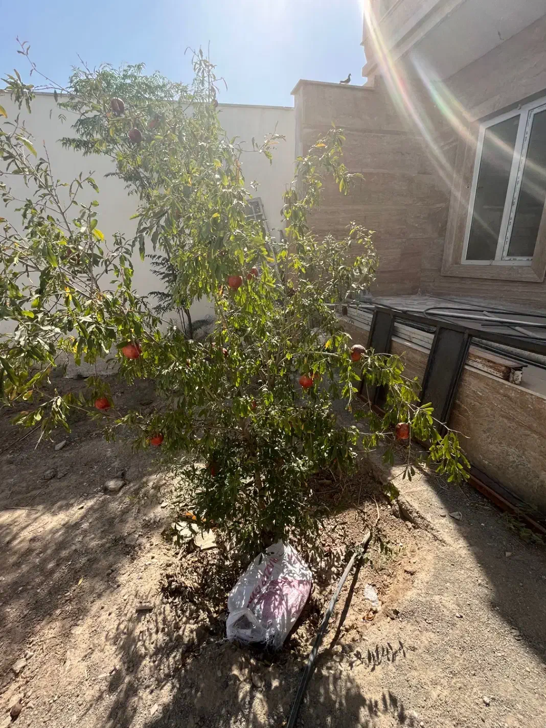 باغچه با بنای نوساز دوخواب حقآبه و برقدار|فروش خانه و ویلا|جوادآباد, |دیوار