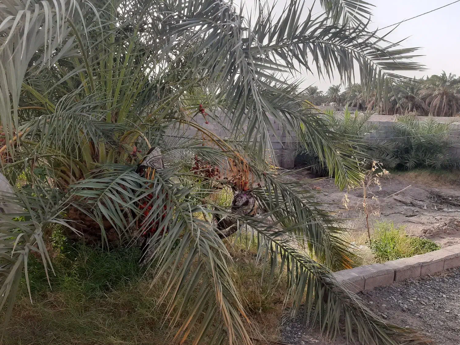 خونه ویلایی ۹۰متری اسکلت پیچ مهره|فروش خانه و ویلا|گنبکی, |دیوار