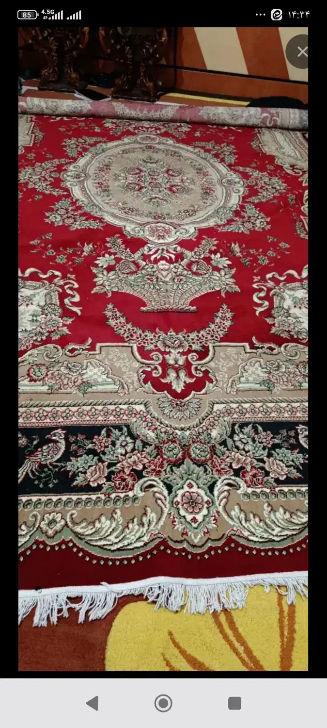 قالی 12مترس|فرش|اندیمشک, |دیوار