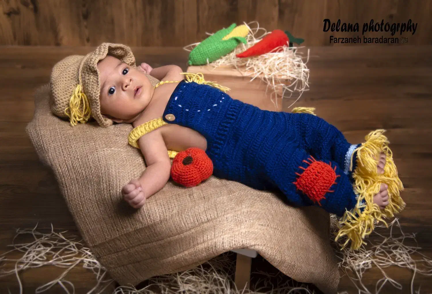 اتلیه تخصصی عکاسی دلانا|خدمات پذیرایی، مراسم|اصفهان, ناژوان|دیوار