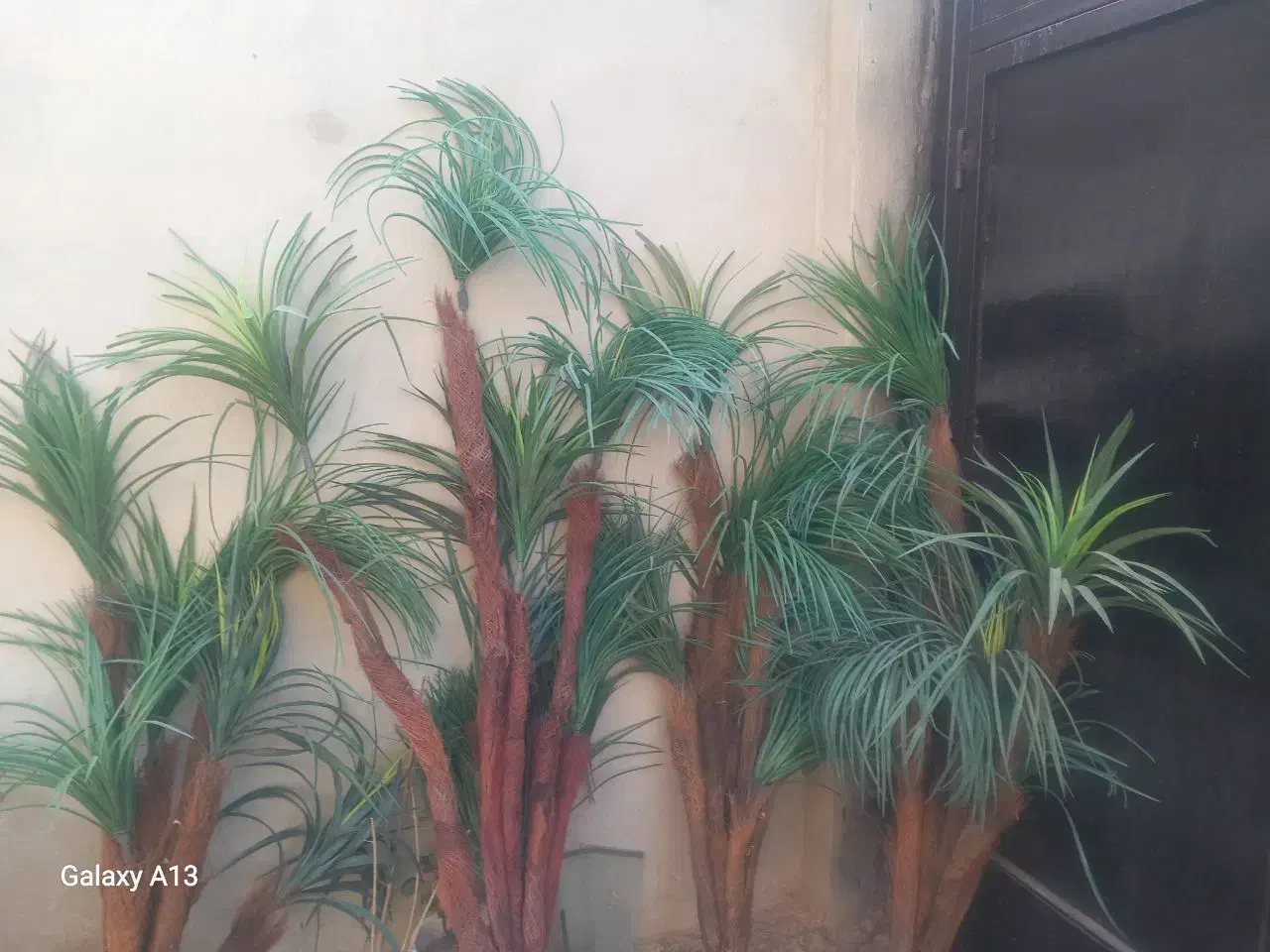 درختچه مصنوعی|گل مصنوعی|گناباد, |دیوار