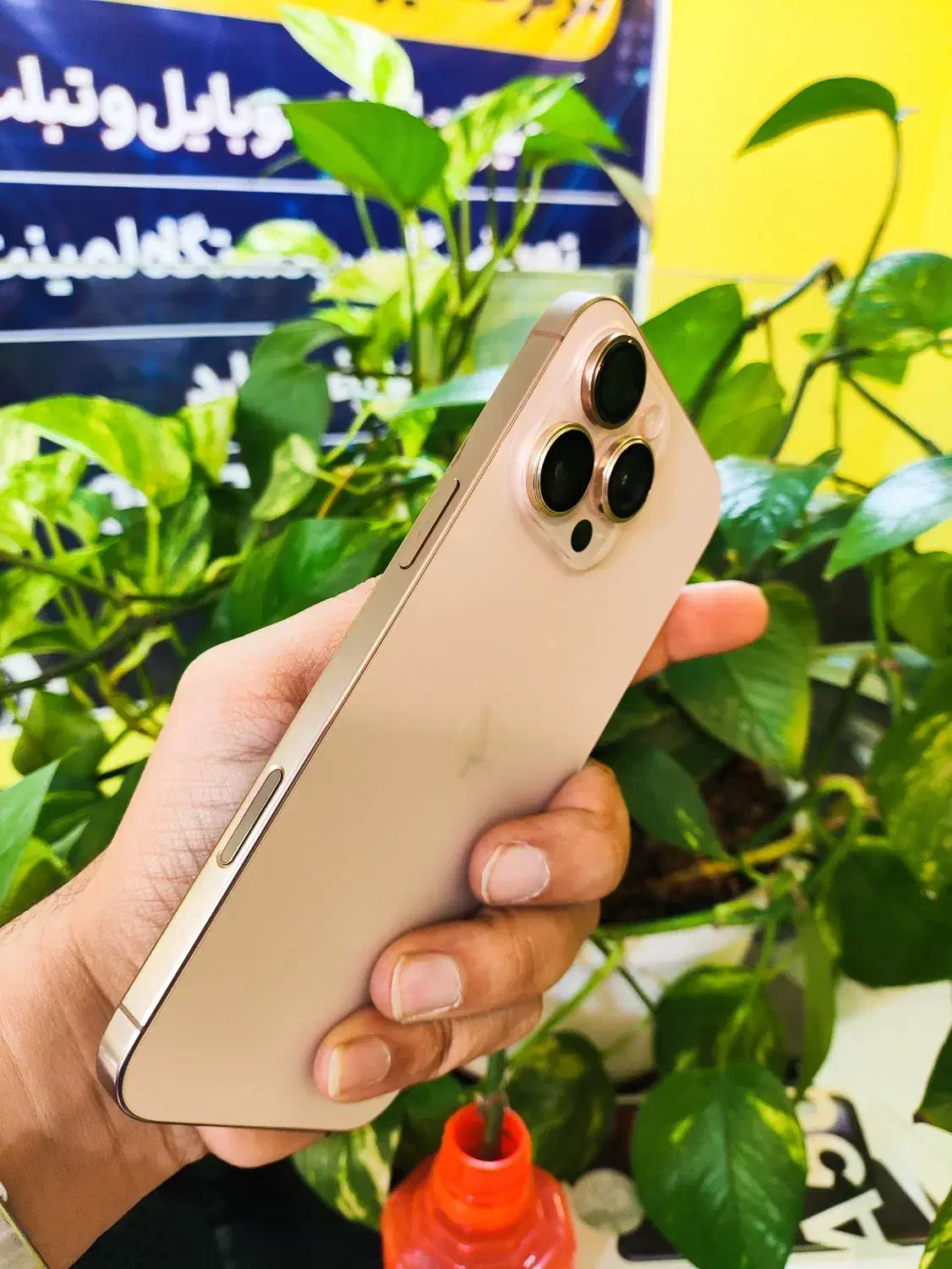 فروش ۱۶ پرومکس رجیستر|موبایل|شیراز, ملاصدرا|دیوار