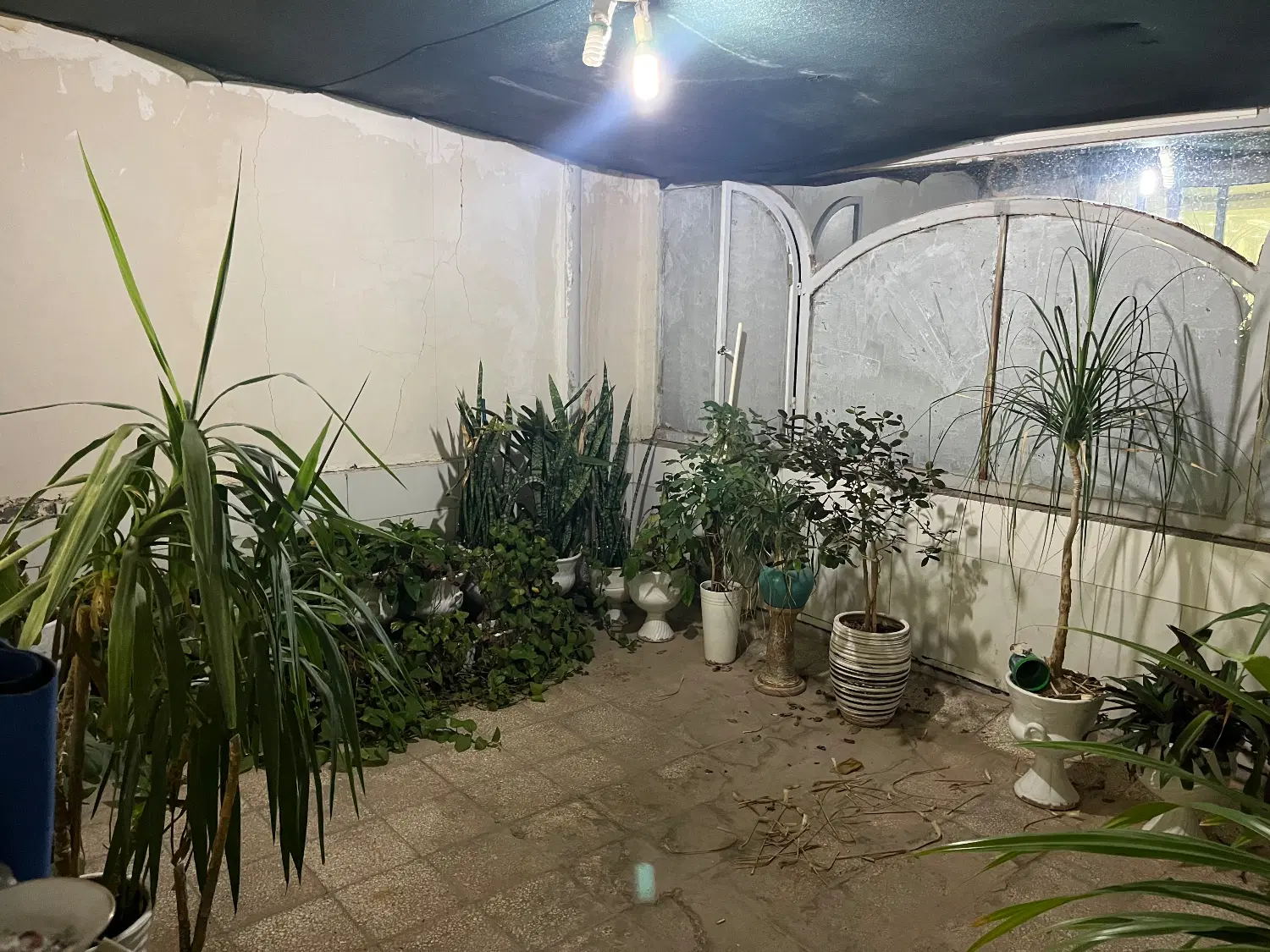 تصویر 7