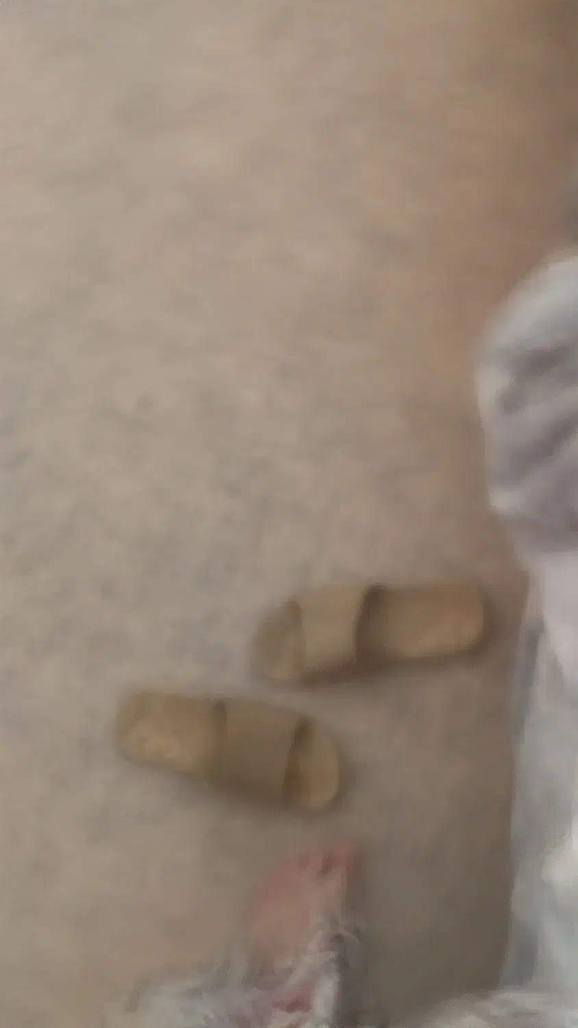 موکت درحد نو بدلیل جابجایی فروش میرود|موکت|یزد, |دیوار