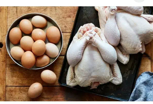 نیازمندنیروبرای مغازه مرغ فروشی|استخدام خدمات فروشگاه و رستوران|جهرم, |دیوار