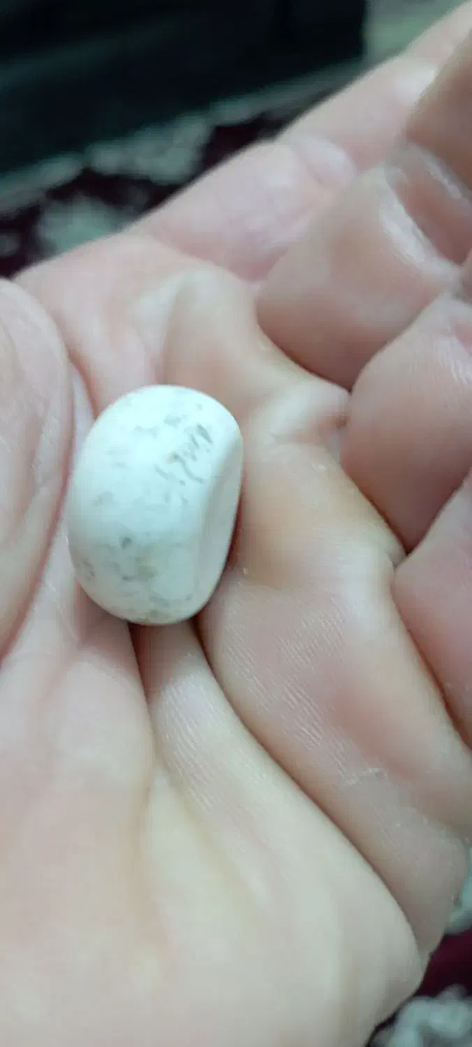 سنگ|جواهرات|تهران, تهرانپارس غربی|دیوار