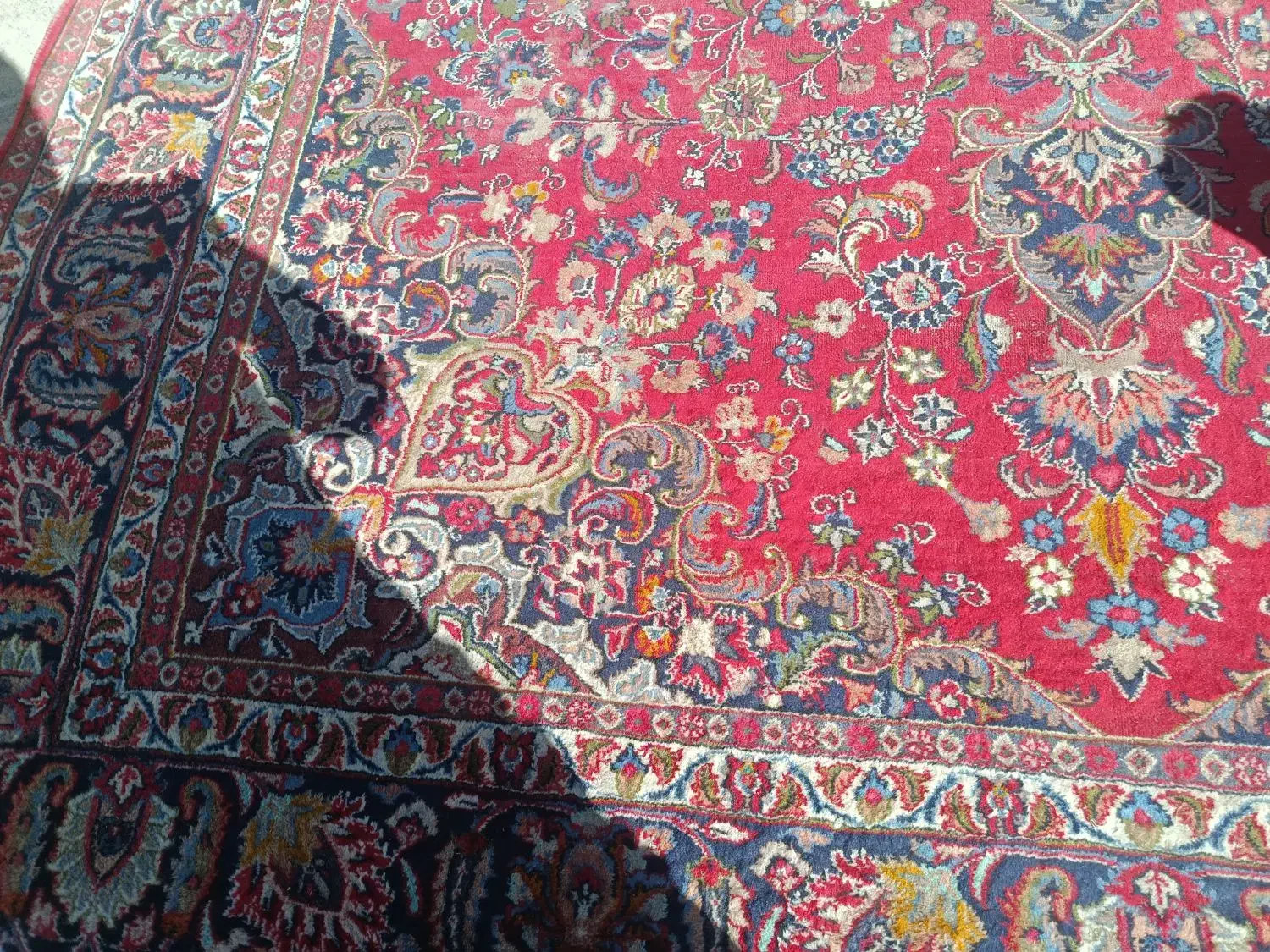 فرش دستباف|فرش|بیرجند, |دیوار