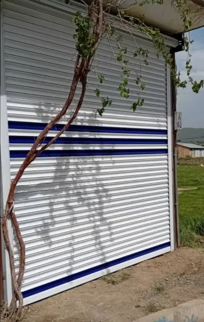 کرکره برقی و درب اتومات|خدمات پیشه و مهارت|سنندج, |دیوار