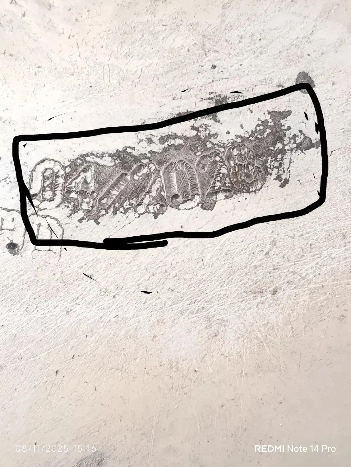 کپسول سی ان جی|قطعات یدکی و لوازم جانبی|سنندج, |دیوار