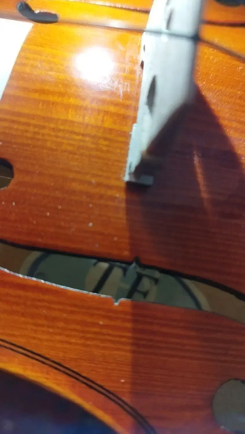 ویولون tf142|ویولن|تهران, سازمان برنامه جنوبی|دیوار