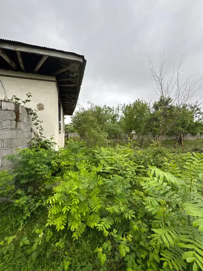 خانه روستایی با سند تکبرگ و تمامی کنتورها‌|فروش خانه و ویلا|ماسال, |دیوار