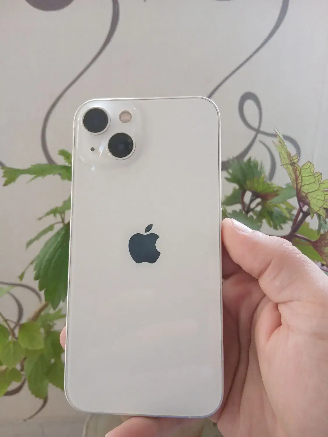 موبایل اپل ۱۳ نرمال کارتن اصلی|موبایل|مهریز, |دیوار